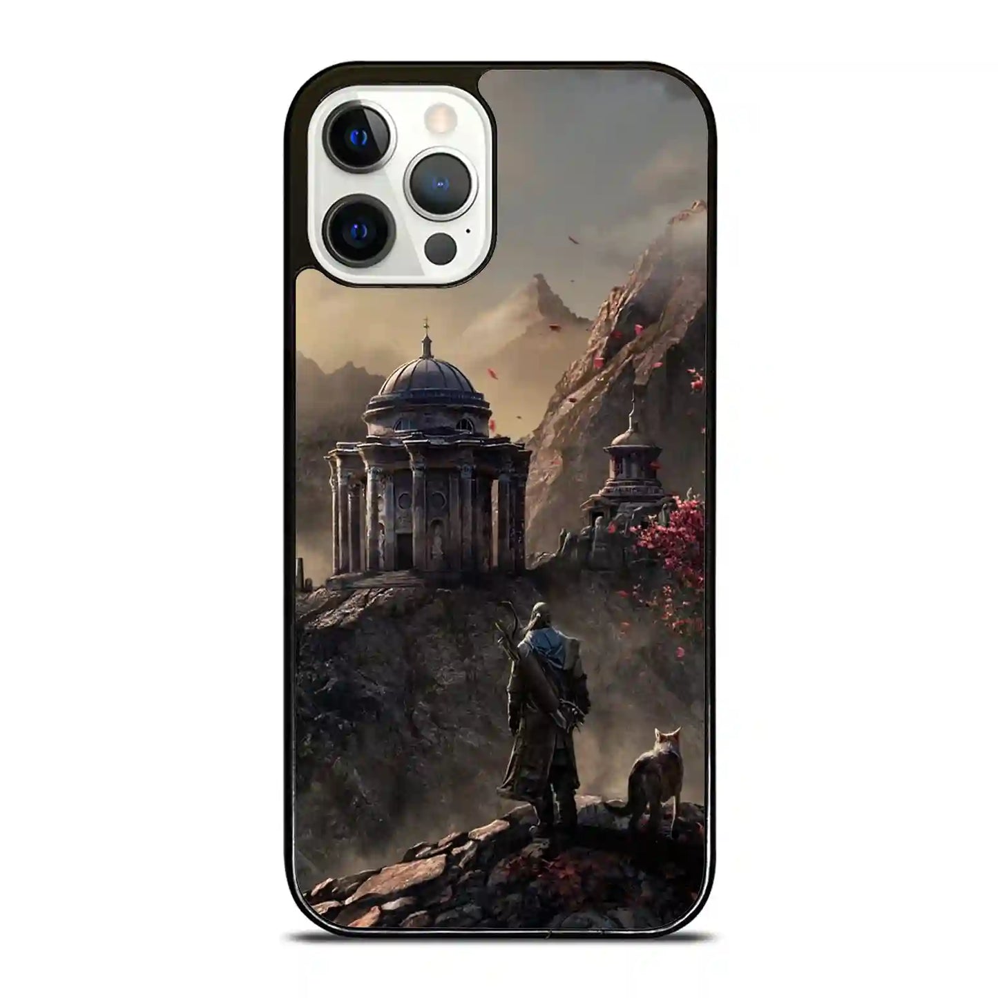 Aegon Tergayen Colorful iPhone 12 Pro Case